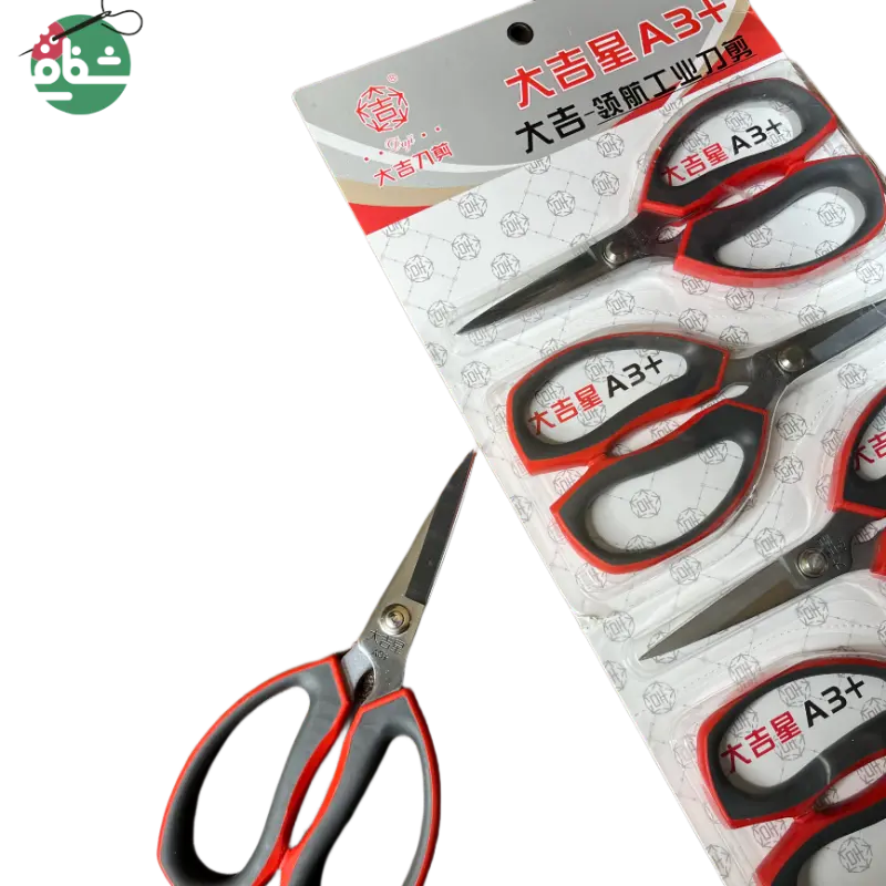 IMG_20251115_200434_694